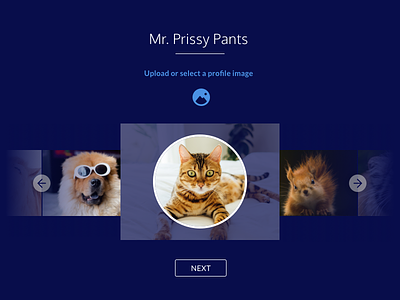 Daily UI #088 animals avatar cats dailyui dogs imagecrop pets prissypants profile profileimage uidesign uxdesign