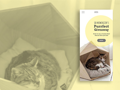 Daily UI #097 catbed cats contestui dailyui geometric giveaway mobileui naturalslow petbed uidesign uxdesign