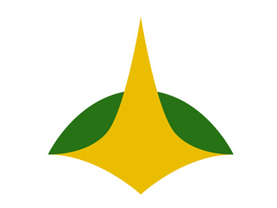 Brasília Airport Promo Logo brasília logo luciocosta niemeyer