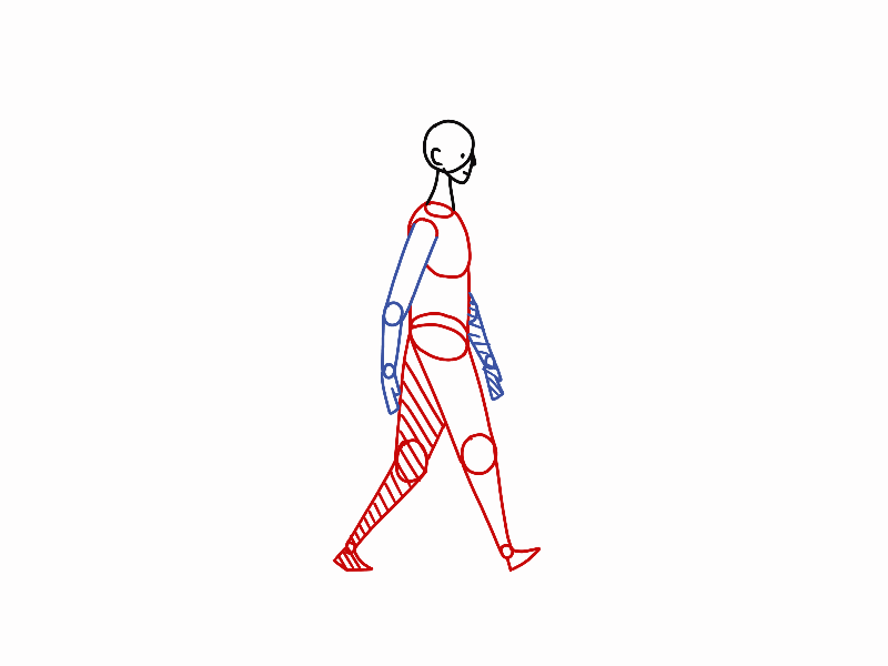 On Place - Walk Cycle animation animation 2d walkcycle walking