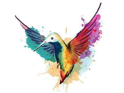 Watercolor Hummingbird hummingbird rainbow watercolor