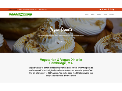 Veggie Galaxy Landing Page landing page design