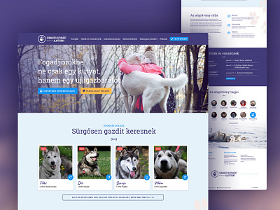 Website design for a foundation design sketchapp ux webdesign