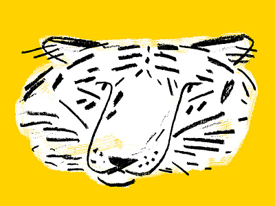 Tiger animal animal illustration black black white drawing illustration pencil texture tiger yellow
