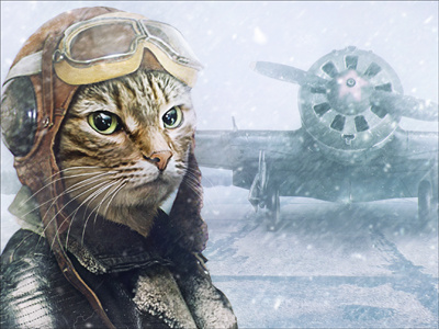 Cat-Pilot cat matte painting photoshop pilot plane