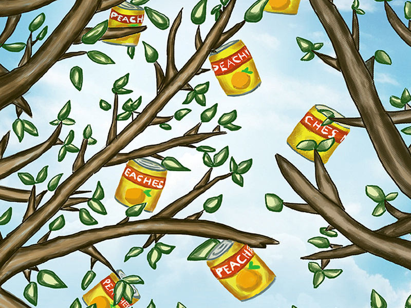 Peaches Come In a Can by Mathew on Dribbble