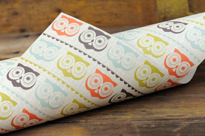 Owl Gift Wrap gift wrap illustration owl retro vintage wrapping paper