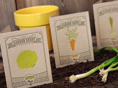 Garden Collection carrot earth garden green greeting cards letterpress lettuce onion seeded vegetables