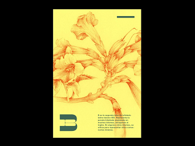 B es para botánica (B); Cartel día 002. espanol graphic design illustrator photoshop poster art typography