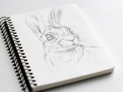 Hare