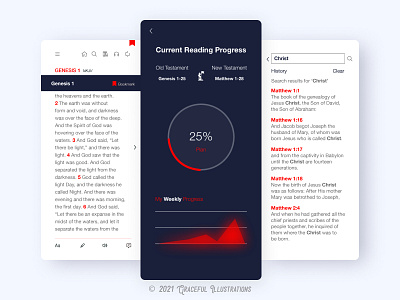 Bible App - #2 More insights