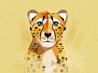 Cheeta africa animal cat cheetah color cool eyes illustration kids safari vector