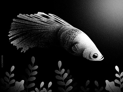 Guppy fish black eye fins fish guppy illustration leaves mouth movement swimming tail underwater