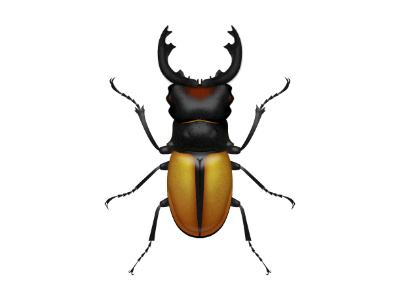 Beetle bug vector