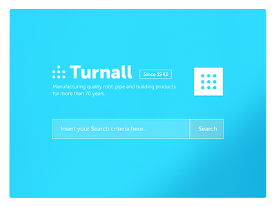 Turnall Window search box window