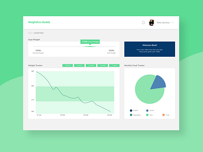 Day 018 | Analytics Chart analytics chart daily ui daily ui 018 desktop graphs weightloss