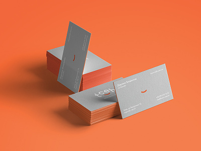 Tceh Logo branding card flat identity logo spiilka typography