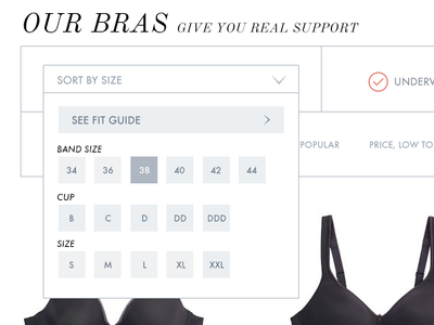 Sort and Filter bra check dropdown filter flat minimal select selector sort ui web