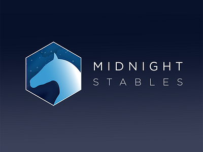 Midnight Stables art design graphic design horse logo midnight night sky stables therapy ui ux visual