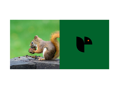 Squirrel Logo