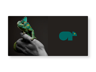 Chameleon Logo