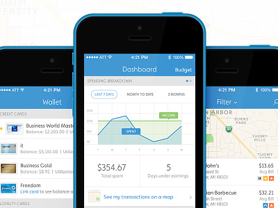 Wisely App app dashboard design finance ios7 spend wisely