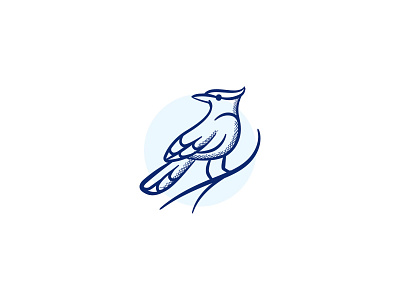 Toronto Blue Jays designs, themes, templates and downloadable graphic  elements on Dribbble