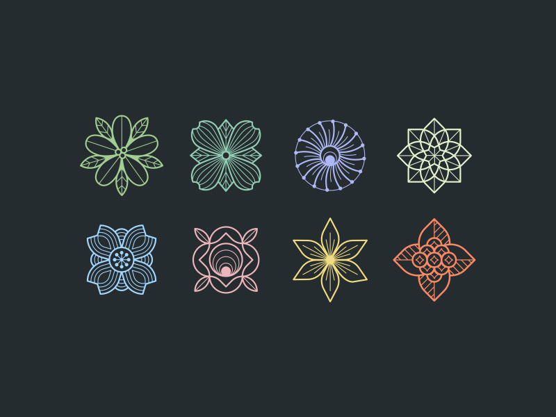 Geometric Flowers golden bell cherry blossom camelia firethorn flower design graphic illustration geometric flowers