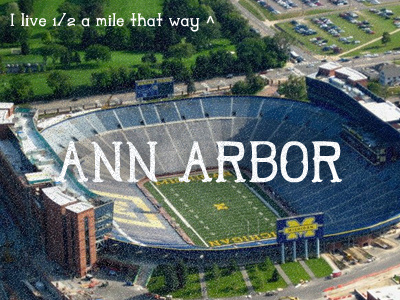 Ann Arbor ann arbor big house