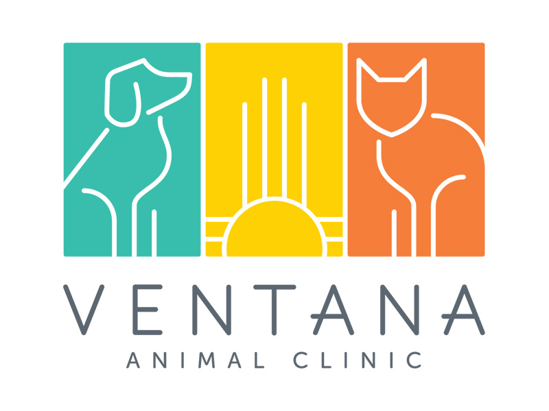 Ventana Animal Clinic Logo southwest logo design logo branding veterinarian cat dog animal new mexico