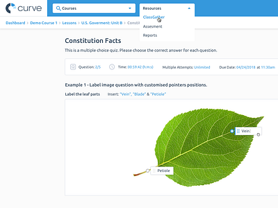 Curve LMS UI Design learning lms software design