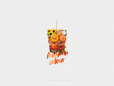 { In a cup } Autumn