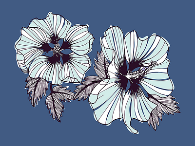 Hibiscus blue handdrawn hibiscus illustration line plant