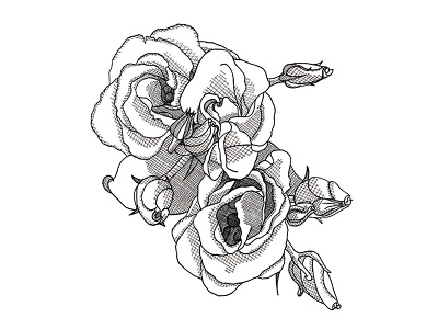 Rose Buds blackandwhite dot dotwork drawing flower handdrawn illustration plant pointillism rose rosebud