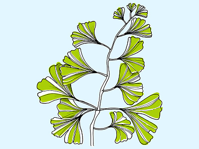 Ginkgo blue drawing ginkgo green handdrawn illustration plant wacompaper