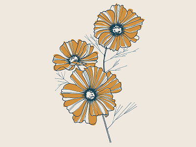 Cosmos beige blue cosmos drawing flower handdrawn illustration orange plant wacompaper