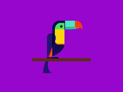 Toucan bird flat toucan