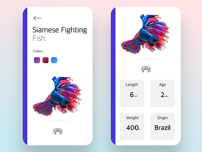 Fighting Fish daily ui daily ui challenge invision studio ui design ui inspiration uiux