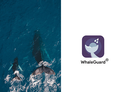 Designing iOS app - WhaleGuard 🐋 daily ui design icon ui ui ux ui 100day ui design ux ux design vector