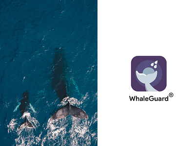 Designing iOS app - WhaleGuard 🐋