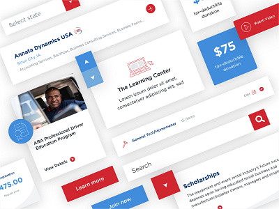 ARA :: Design Elements accordion arrows blue buttons card style product red search ui ui elements ux web web design website