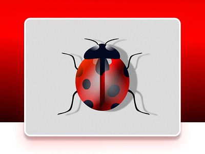 Lady Bug 3d animation branding christeena chumma chumma.design design graphic design illustration illustrator ladybug logo motion graphics ui vector