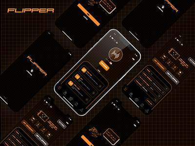 App concept for a Flipper Zero