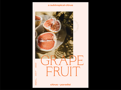 Poster a Day — 11 create every day grapefruit graphic design layout poster a day typography