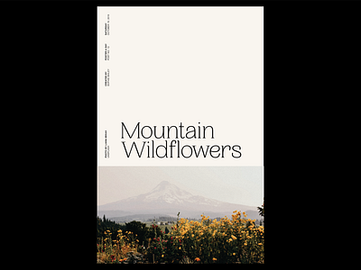 Poster a Day — 12 create everyday graphic design layout design poster a day wildflowers