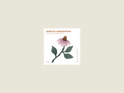 Wildflower stamp american coneflower daily mark daisy echinacea illustration layout north plants postage stamp wildflower wildflowers