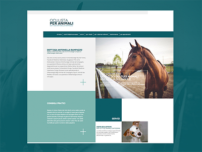 Veterinary Web Design 