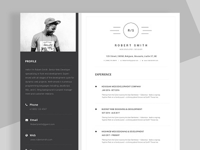 Free Cv Template Designs Themes Templates And Downloadable Graphic Elements On Dribbble