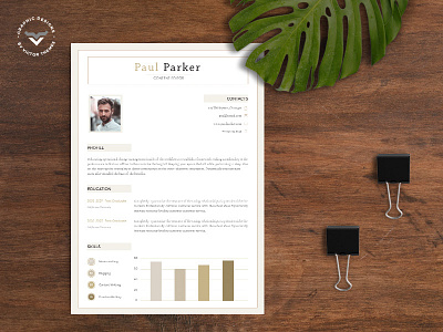 Professional CV Template clean corporate cover curriculum cv job letter offer print professional resume template templates vitae