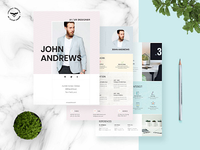 Business CV Template